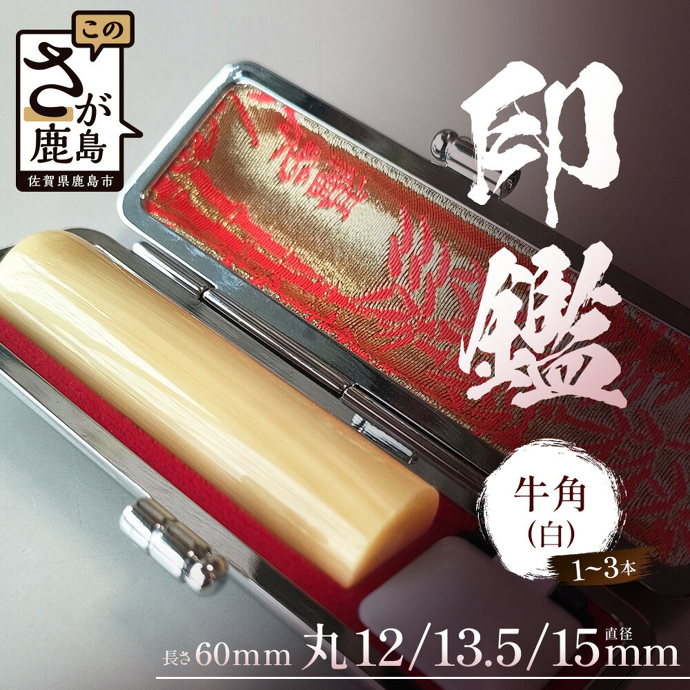 【ふるさと納税】 牛角（白）印鑑 専用ケース付 ｜1本 2本 3本 選べる本数 オーダーメイド セット 実印 銀行印 認印 手彫り仕上げ 印鑑 はんこ 高級 贈答 ギフト 御祝 成人祝 就職祝 結婚祝 佐賀県 鹿島市 J-34