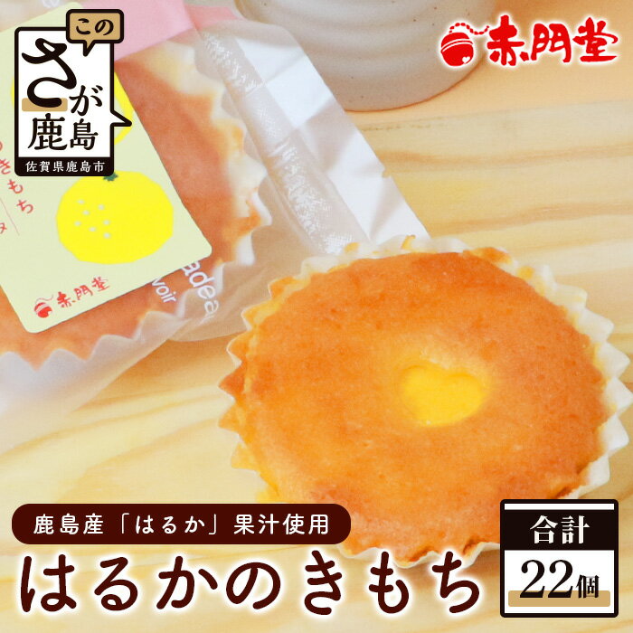 【ふるさと納税】赤門堂の焼菓子】はるかのきもち 22個 マドレーヌ 焼き菓子 焼菓子 お菓子 郷土菓子 ご当地スイーツ 焼き菓子 焼菓子 贈物 プレゼント ギフト 贈り物 お土産 おやつ 佐賀県 鹿島市 マドレーヌ 焼菓子 焼き菓子 はるか 柑橘 銘菓 お菓子 郷土菓子 B-641