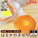 【ふるさと納税】赤門堂の焼菓子】はるかのきもち 22個 マド