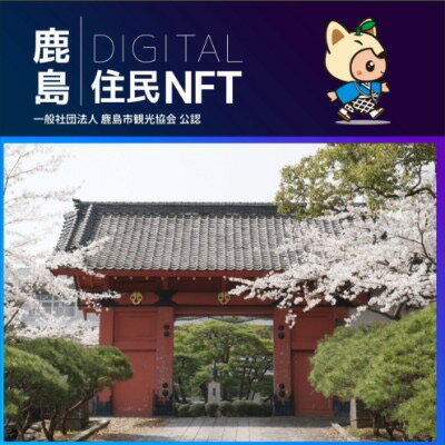 【NFT】鹿島市デジタル住民 NFT 2023.10 (赤門)【イベント参加 まちづくりの提案 投票権】鹿島デジタル住民募集中 B-729