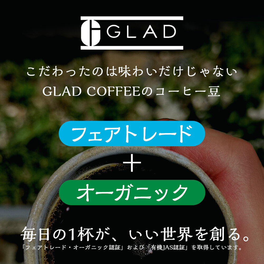 【ふるさと納税】 オーガニックブレンドコーヒー 《ドリップ中挽10g お試し2袋 10袋 30袋 》有機JAS フェアトレード コーヒー コーヒー豆 珈琲豆 おうちカフェ お取り寄せ 飲料 佐賀県 鹿島市 AA-79 f412074-kashima-10002249 佐賀県鹿島市 サンプル画像2