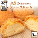 【ふるさと納税】お米のシュークリーム プレーン 5個 米粉使用 小麦粉不使用 お菓子 スイーツ 洋菓子 冷凍 ひのでや グルテンフリー AA..