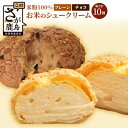 【ふるさと納税】★5.0 お米のシュークリーム 詰め合わせ プレーン チョコ 各種5個 合計10個 米粉使用 小麦粉不使用 お菓子 スイーツ 洋菓子 冷凍 ひの...