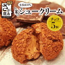 【ふるさと納税】【グルテンフリー】米粉シュークリーム チョコ 5個セット|小麦粉不使用 スイーツ 洋菓子 お菓子 冷凍 米粉スイーツ 人気 お取り寄せ ギフトに...