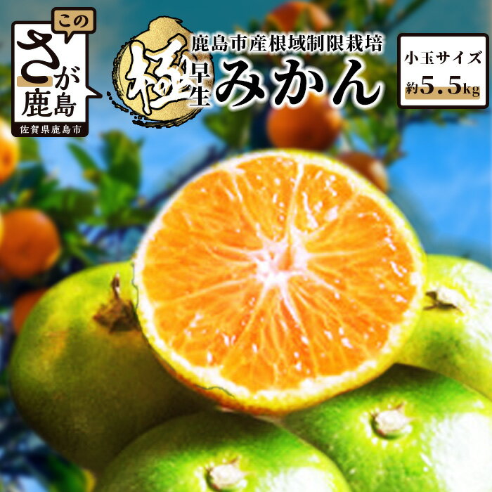 【ふるさと納税】【先行予約】【10月お届け】鹿島 平倉果樹園のみかん 極早生 約5.5kg 小玉 みかん ミ..