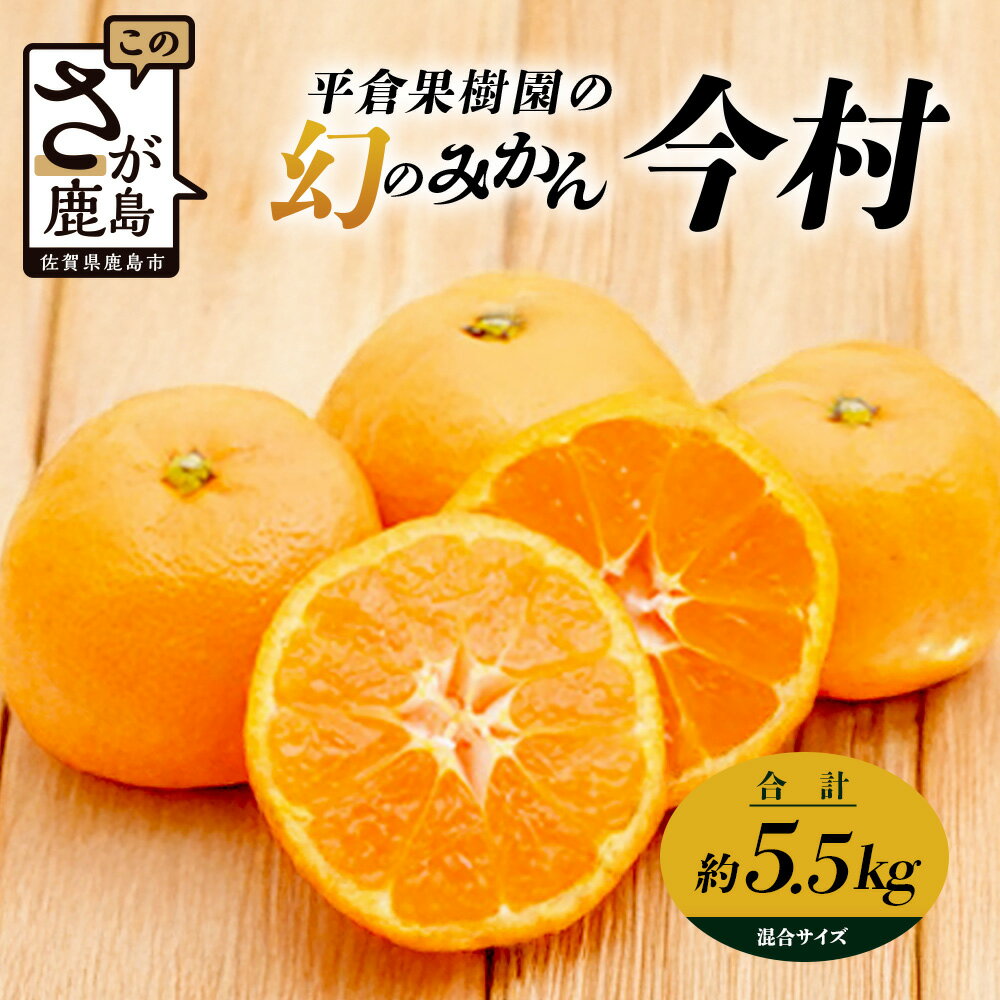 [まぼろしのみかん]鹿島 平倉果樹園のみかん『今村』 約5.5kg サイズ混合 みかん 希少 幻 まぼろし 蜜柑 ミカン オレンジ フルーツ 果物 高糖系 平均糖度12度 佐賀県 鹿島市 人気 おすすめ 送料無料[2026年2月上旬から2月末まで配送]