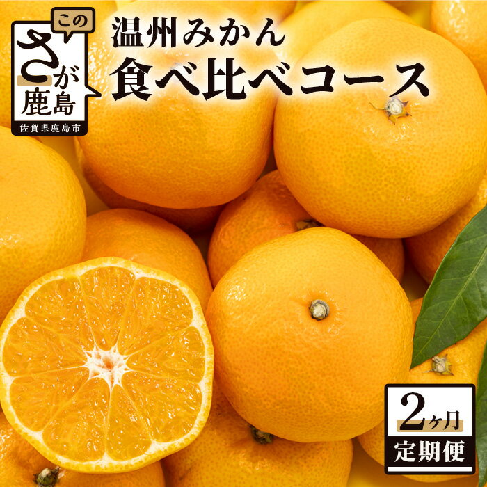 【ふるさと納税】鹿島 平倉果樹園 みかん 食べ比べ コース （毎月1回 約5.5kg×2か月お届け） 定期便 合..