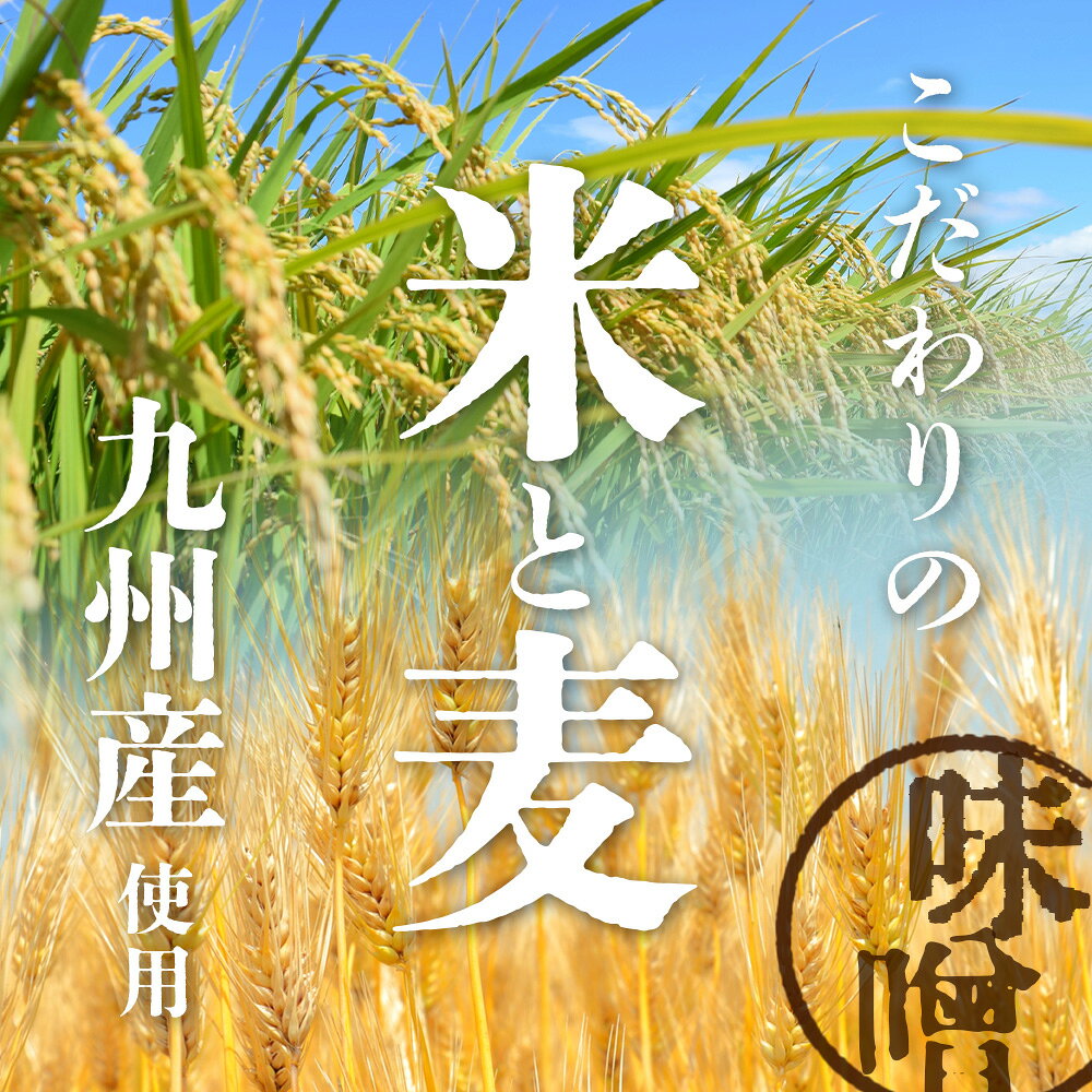 【ふるさと納税】老舗麹屋さん手作りの味噌＆塩こうじセット（米・合わせ味噌 各1個｜塩こうじ4本）米味噌 あわせ味噌 味噌汁 手作り セット 佐賀県 九州 国産 送料無料 B-927 f412074-kashima-10002216 佐賀県鹿島市 サンプル画像3