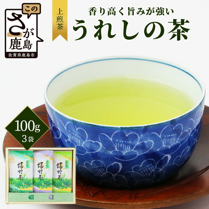 [ギフトにおすすめ] 佐賀県産 上煎茶 うれしの茶 100g×3本[合計300g]美味しいお茶を贈り物に