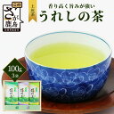 11位! 口コミ数「0件」評価「0」【ギフトにおすすめ】 佐賀県産 上煎茶 うれしの茶 100g×3本【合計300g】美味しいお茶を贈り物に B-666