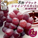 【ふるさと納税】希少 ブラック シャインマスカット 富士の輝き 1房 約700g 【先行予約】【2025年8月下旬~9月下旬発送予定】高糖度 ブラックシャインマスカット マスカット フルーツ 果物 ぶどう 新鮮 生産者直送 葡萄 佐賀県 鹿島市 送料無料 C-156