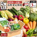 【ふるさと納税】【野菜ソムリエ選定】【定期便】【お届け曜日・時間帯指定可能】肥前の国 野菜 定期便 3回 計8〜10品目 定番野菜中心 | ふるさと納税 野菜 ...