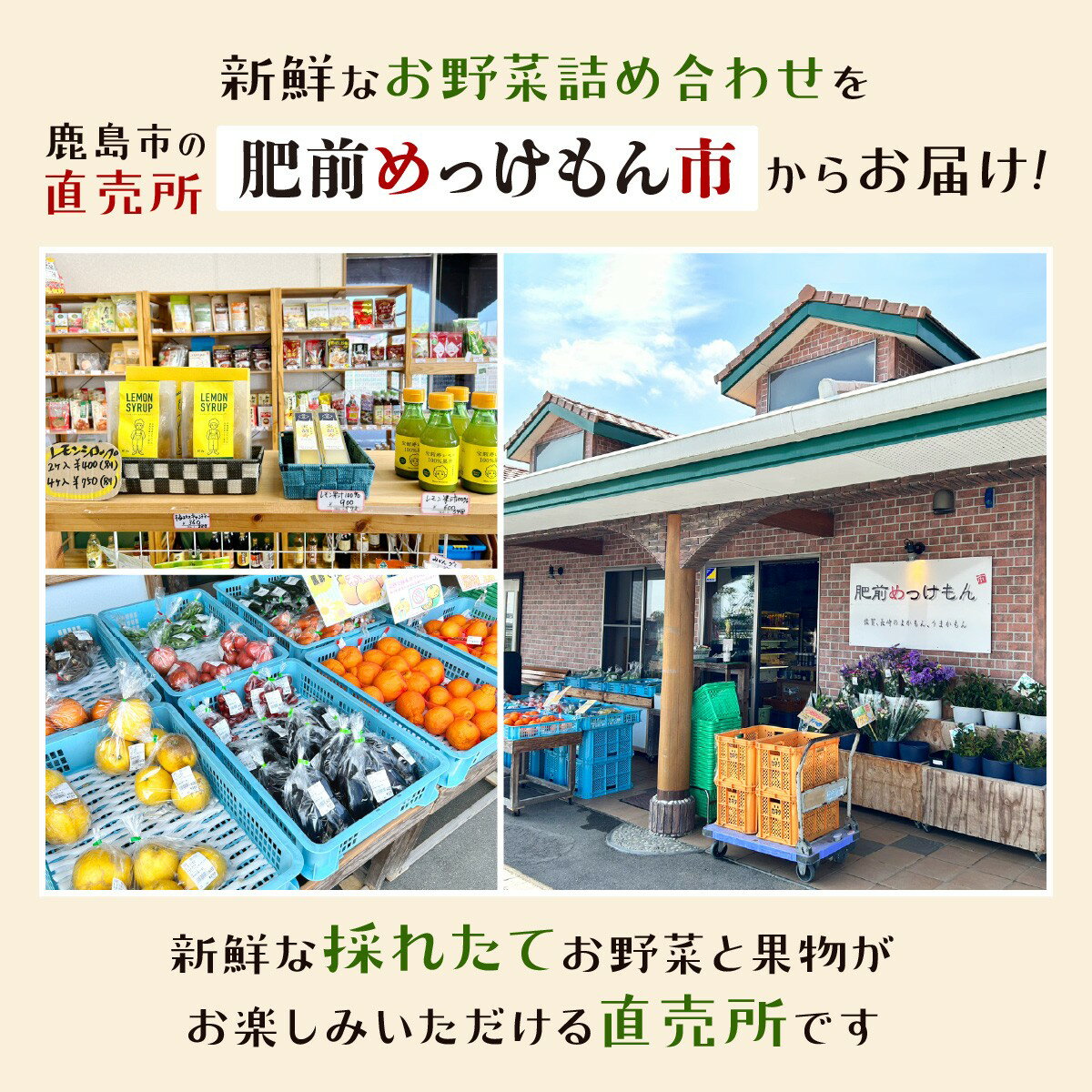 【ふるさと納税】【定期便】肥前の国 野菜 定期便 6回 6ヶ月 定番 8品目 季節の野菜 2品目 計8〜10品目 | ふるさと納税 野菜 定期 やさい 野菜セット 国産 佐賀県 鹿島市 ふるさと 人気 送料無料 F-20