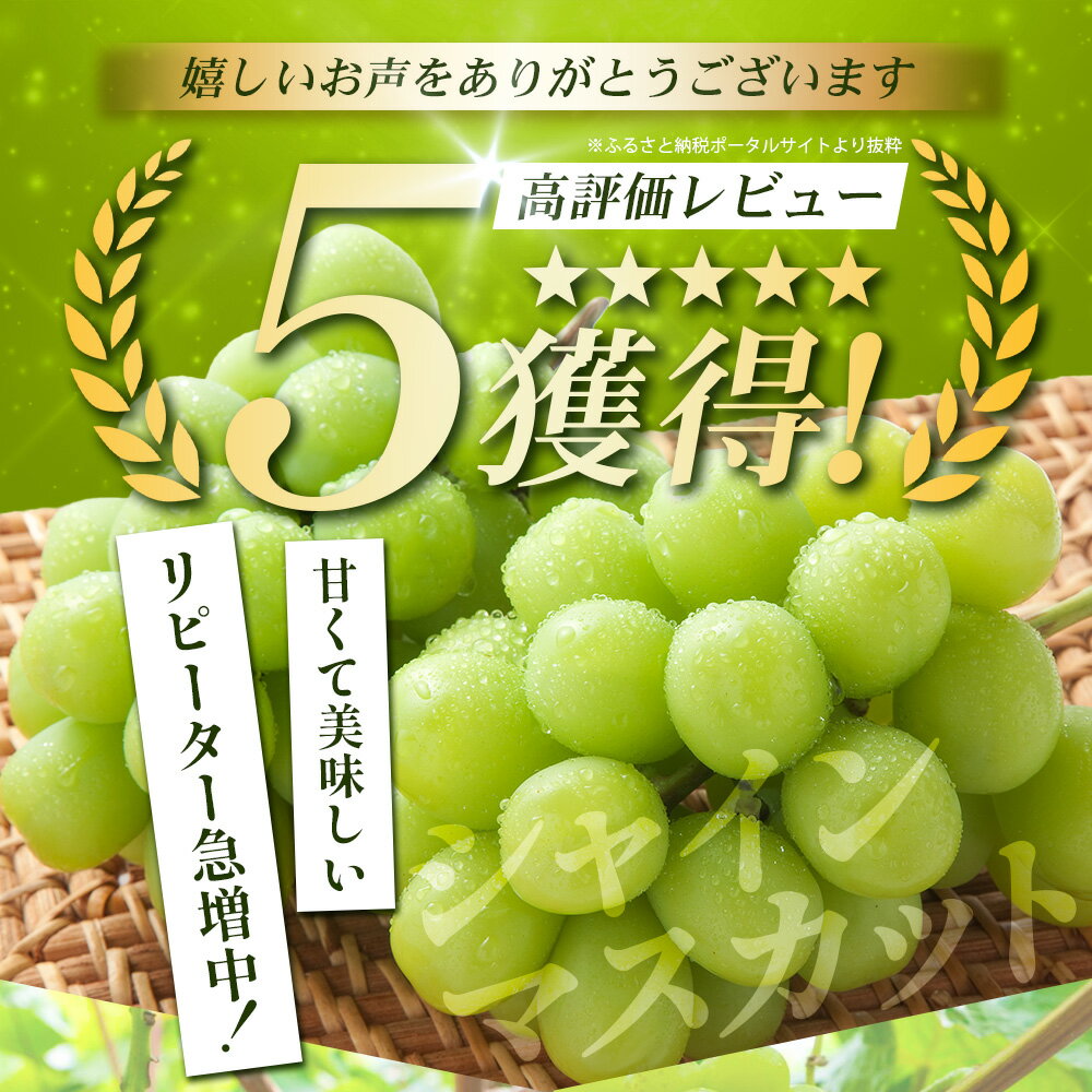 【ふるさと納税】ご家庭用 シャインマスカット 約1.2kg〜2.4kg 2026年 先行予約 佐賀県産 [2026年8月上旬以降発送] | ふるさと納税シャインマスカット マスカット ぶどう 葡萄 果物 フルーツ 旬 高級 ふるさと くだもの スイーツ 佐賀県 鹿島市 人気 おすすめ 送料無料 B-658