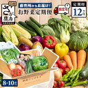 【ふるさと納税】【野菜ソムリエ選定】【定期便】【お届け曜日・時間帯指定可能】肥前の国 野菜 定期便 12回 計8〜10品目 定番野菜中心 | ふるさと納税 野菜...