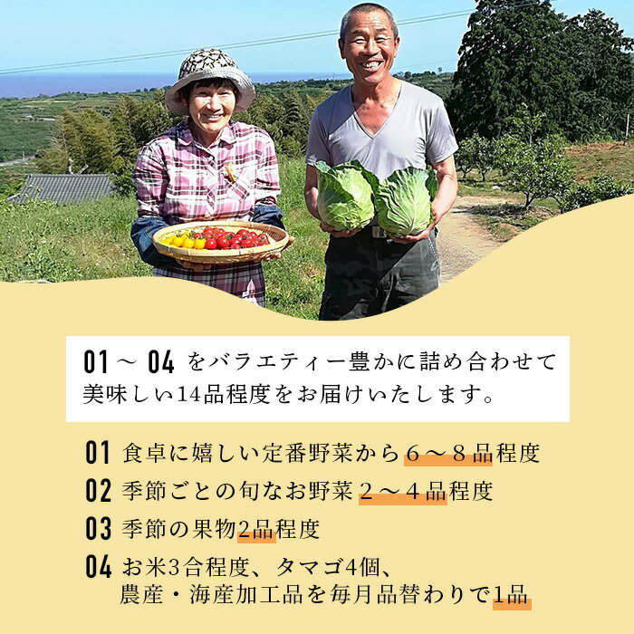 【ふるさと納税】【定期便】肥前の国 お楽しみ 大満足 セット 12回 12ヶ月 14品目程度 | ふるさと納税 野菜 定期 フルーツ 果物 米 卵 たまご やさい 野菜セット 国産 佐賀県 鹿島市 ふるさと 人気 送料無料 N-9