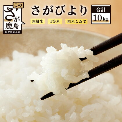 お米 鹿島市産 さがびより 白米 10kg | ふるさと納税 米 お米 新米 精米 国産 佐賀県 鹿島市 ふるさと 人気 送料無料 B-339