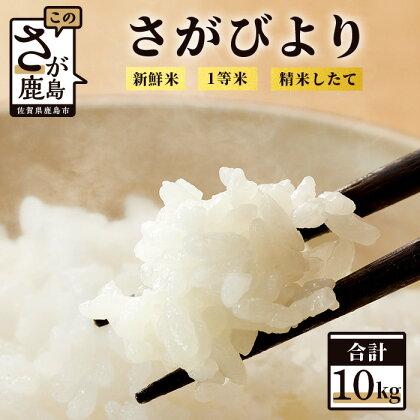 1等米 さがびより 令和5年産 佐賀県 鹿島産 白米 10kg（2kg×5袋） 小分けタイプ お米 米 精米 国産 九州産 鹿島市 送料無料 C-49