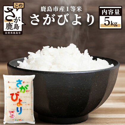 1等米 さがびより 令和5年産 佐賀県 鹿島産 白米 5kg お米 九州 米 精米 国産 九州産 鹿島市 送料無料 B-352