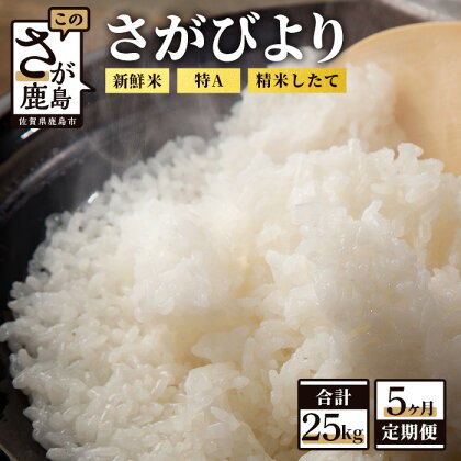 【定期便5回】白米 計25kg （5kg×5回）新鮮米 さがびより 定期便5カ月 令和5年産 佐賀県 鹿島産 小分けタイプ お米 米 精米 国産 九州産 鹿島市 送料無料 F-52