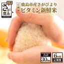 【ふるさと納税】【6か月定期便】1等米 鹿島市産 さがびより 『ビタミン新鮮米』 1kg×5袋 5kg×6回 定期便 6か月 合計30kg 合計6回 ビタミン補給米 佐賀県 鹿島市 米 白米 精米したて 佐賀県 鹿島市 送料無料 G-38