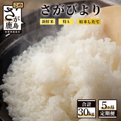 【定期便5回】白米 計30kg （2kg×3袋×5回）新鮮米 さがびより 定期便5カ月 令和5年産 佐賀県 鹿島産 小分けタイプ お米 九州 米 精米 国産 九州産 鹿島市 送料無料 G-46