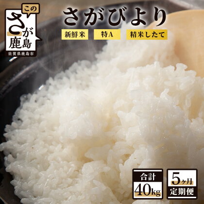 【定期便5回】白米 計40kg （2kg×4袋×5回）新鮮米 さがびより 定期便5カ月 令和5年産 佐賀県 鹿島産 小分けタイプ お米 米 精米 国産 九州産 鹿島市 送料無料 I-24