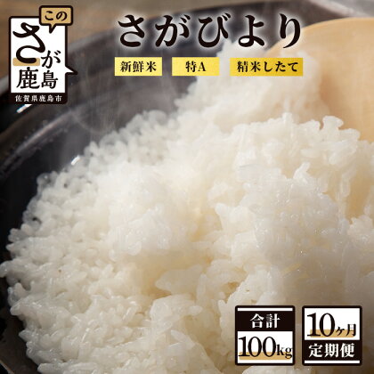 【定期便10回】白米 計100kg （10kg×10回）新鮮米 さがびより 定期便10カ月 令和5年産 佐賀県 鹿島産 小分けタイプ お米 米 精米 国産 九州産 鹿島市 送料無料 P-8