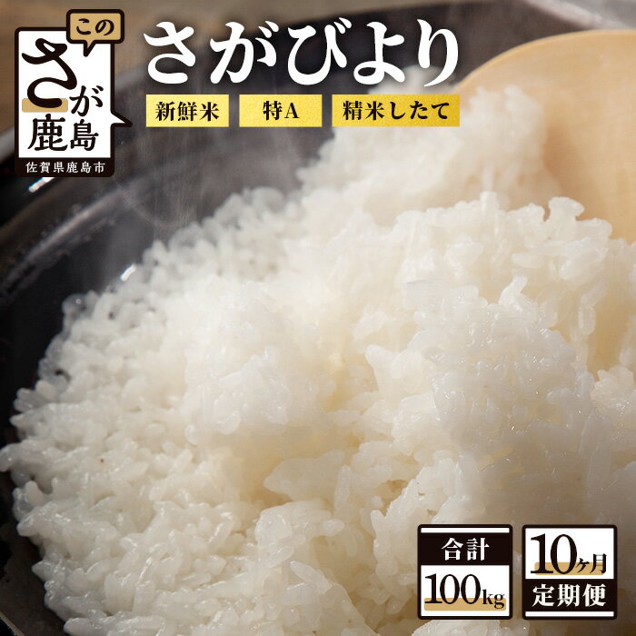 【ふるさと納税】【定期便10回】白米 計100kg （5kg×2袋×10回）新鮮米 さがびより 定期便10カ月 令和5年産 佐賀県 鹿島産 小分けタイプ お米 米 精米 国産 九州産 鹿島市 送料無料 Q-3