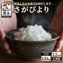 22位! 口コミ数「0件」評価「0」【12か月定期便】1等米 佐賀県 鹿島産 さがびより 白米 新鮮米 10kg（2kg×5袋）×12か月 合計120kg 12回発送 毎月1回･･･ 