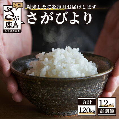 【12か月定期便】1等米 佐賀県 鹿島産 さがびより 白米 新鮮米 10kg（2kg×5袋）×12か月 合計120kg 12回発送 毎月1回 白米 精米 米 お米 九州 国産 九州産 鹿島市 数量限定 送料無料 V-25