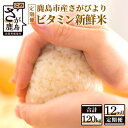 1等米 鹿島市産 さがびより 『ビタミン新鮮米』 1kg×10袋 10kg×12回 定期便 12か月 合計120kg 合計12回 ビタミン補給米 佐賀県 鹿島市 米 白米 精米したて 佐賀県 鹿島市 送料無料 V-27