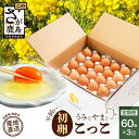 【ふるさと納税】\初卵/【定期便3回】平飼い卵「うみとやまとこっこ」60個×3回(合計180個) S・Mサイズ混合 上田養鶏場 生産者直送 | ふるさと納税 卵...