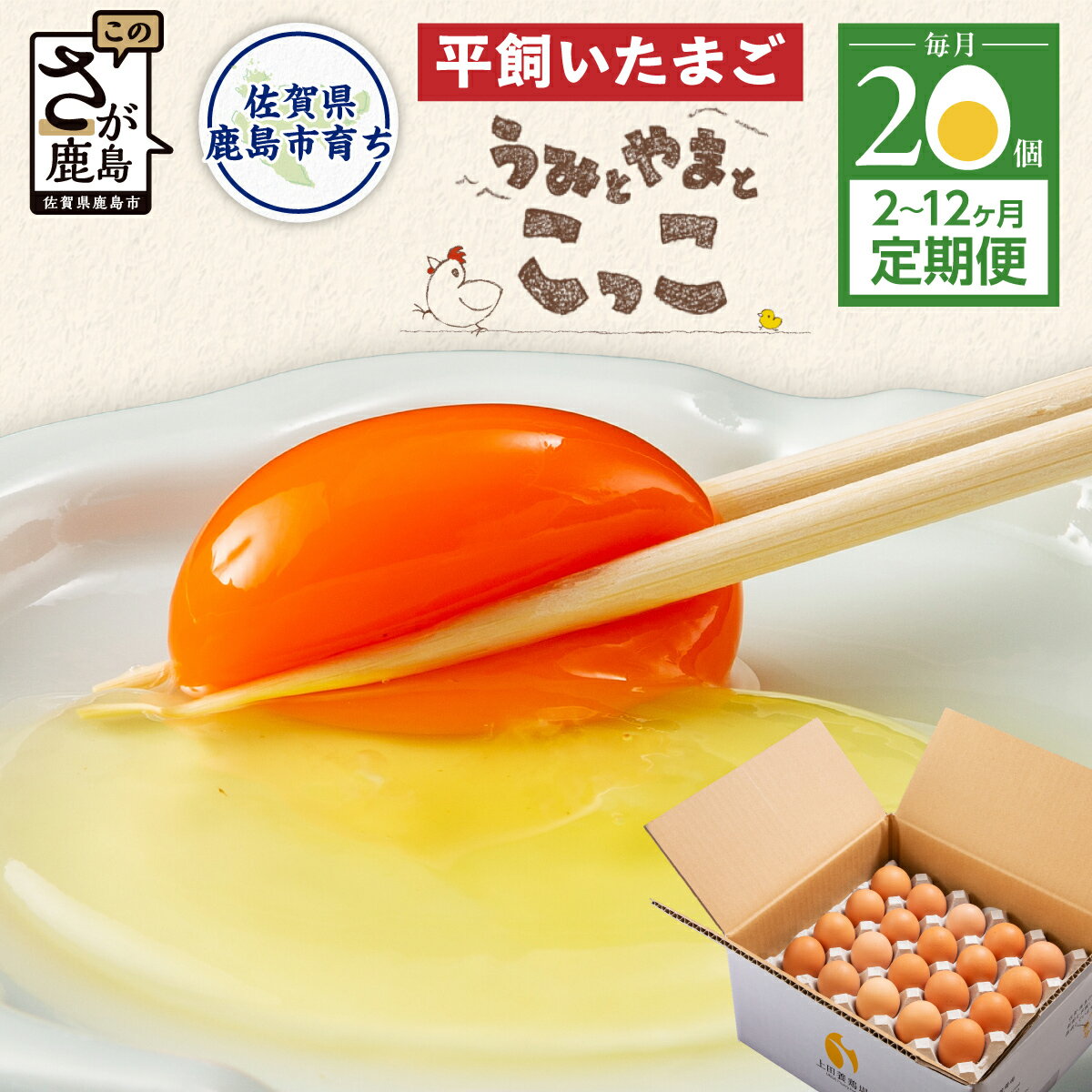 ★5.0平飼い卵「うみとやまとこっこ」サイズ混合 [毎月20個]上田養鶏場 生産者直送 | ふるさと納税 卵 平飼い たまご 定期便 定期 タマゴ 玉子 鶏卵 ふるさと 産地直送 佐賀県 鹿島市 送料無料