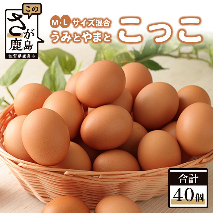 10位! 口コミ数「0件」評価「0」うみとやまとこっこ 卵 40個 たまご 1箱 新鮮 鶏卵 鶏 M・Lサイズ混合 玉子 生卵 国産 九州産 佐賀県 鹿島市 送料無料 B-39･･･ 