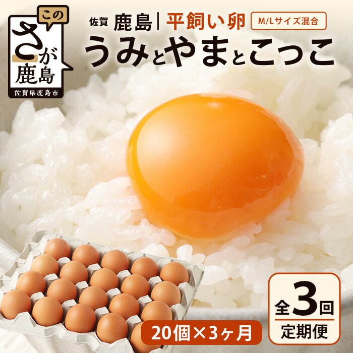 25位! 口コミ数「0件」評価「0」発送月が選べる【定期便 3回】平飼い卵「うみとやまとこっこ」上田養鶏場 たまご20個 × 3ヶ月【合計60個】佐賀県鹿島産 卵 タマゴ C-･･･ 