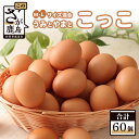 19位! 口コミ数「0件」評価「0」うみとやまとこっこ 卵 60個 たまご 1箱 新鮮 鶏卵 鶏 M・Lサイズ混合 玉子 生卵 国産 九州産 佐賀県 鹿島市 送料無料 C-54