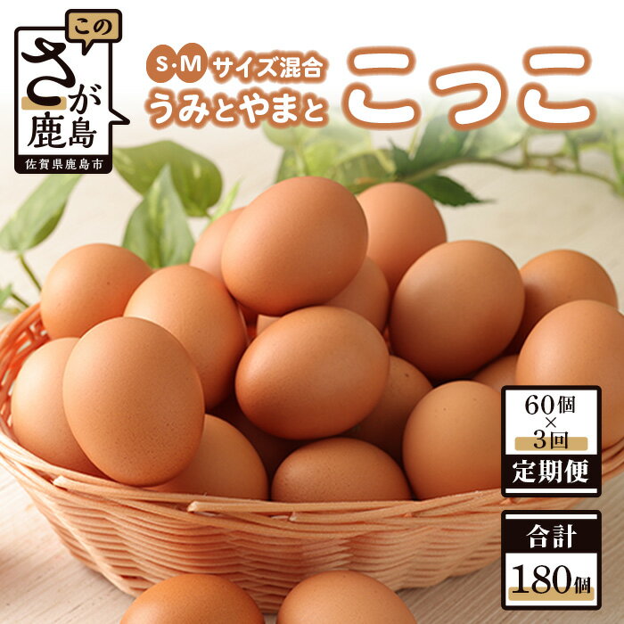 9位! 口コミ数「0件」評価「0」【定期便3回】うみとやまとこっこ 卵 初卵 合計180個(60個×3回) たまご 1箱 新鮮 鶏卵 鶏 S・Mサイズ混合 玉子 生卵 定期便･･･ 