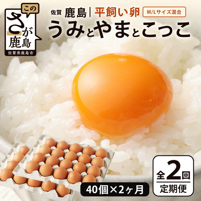 【ふるさと納税】発送月が選べる【定期便 2回】平飼い卵「うみとやまとこっこ」上田養鶏場 たまご40個 ..