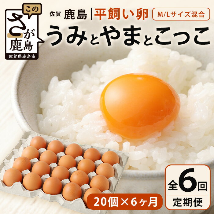 20位! 口コミ数「0件」評価「0」発送月が選べる【定期便 6回】平飼い卵「うみとやまとこっこ」上田養鶏場 たまご20個 × 6ヶ月【合計120個】佐賀県鹿島産 卵 タマゴ E･･･ 