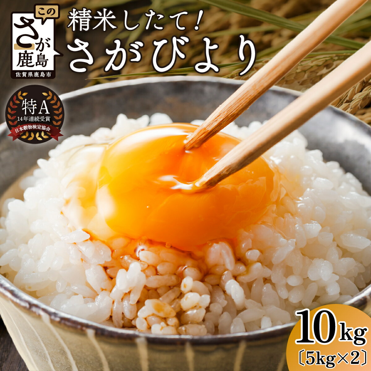 【ふるさと納税】【令和6年産】 さがびより 白米 5kg × 2袋 計10kg 鹿島市産 特A 獲得 米 | ふるさと納税 米 お米 新米 精米 国産 佐賀県 鹿島市 ふるさと 人気 送料無料 B-167のサムネイル