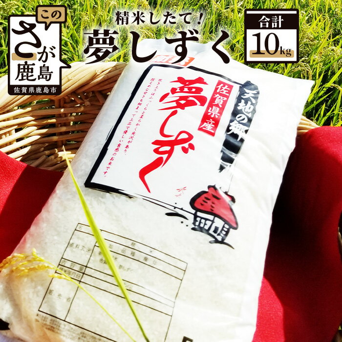 鹿島市産 夢しずく 令和5年産 白米5kg × 2袋 計10kg | ふるさと納税 米 お米 新米 精米 国産 佐賀県 鹿島市 ふるさと 人気 送料無料 B-168