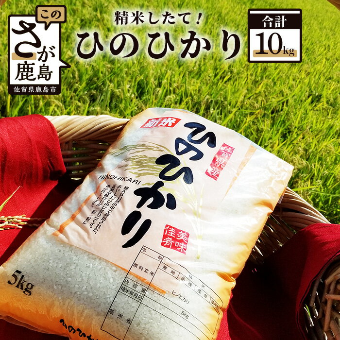 鹿島市産 ひのひかり 令和5年産 白米 5kg × 2袋 計10kg | ふるさと納税 米 お米 新米 精米 国産 佐賀県 鹿島市 ふるさと 人気 送料無料 B-169