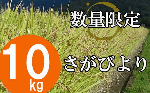 【ふるさと納税】【令和5年産】 さがびより 白米 10kg 1袋 お米 マイスター 厳選 特A獲得 米 佐賀県 鹿島市産 | ふるさと納税 米 お米 新米 国産 佐賀県 鹿島市 ふるさと 人気 送料無料 B-351