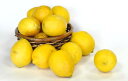 【ふるさと納税】B-127 希少な国産レモン【宝韶寿レモン】訳アリ　約2kg（サイズ混合）