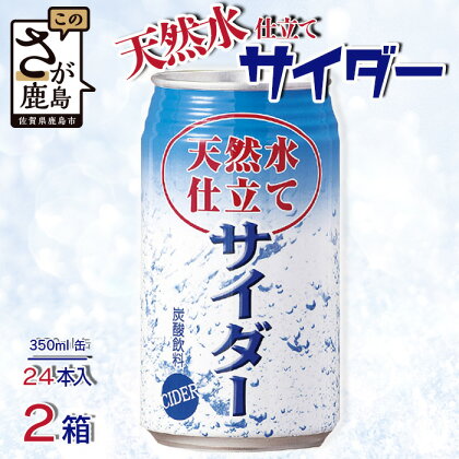 天然水仕立てサイダー 【350ml缶×24本入】×2ケース 炭酸飲料 飲み切りサイズのサイダー 箱買い サイダー割りにも お裾分けサイダー ギフト 贈り物 旬ギフト 夏ギフト 佐賀県 鹿島市 B-660