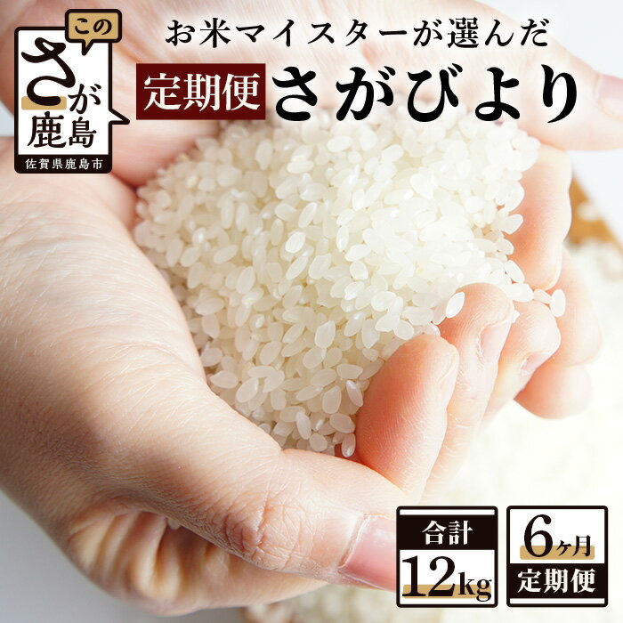 【ふるさと納税】《6か月毎月お届け》鹿島市産 さがびより 特A 白米 玄米 2kg × 6回 計 12kg チャック付 定期便 月1回 佐賀県 鹿島市 送料無料 D-138