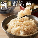 【ふるさと納税】【10月より順次発送】新米 令和7年産 佐賀県産 夢しずく 玄米 10kg 米 お米 国産 九州産 鹿島市 送料無料 B-44