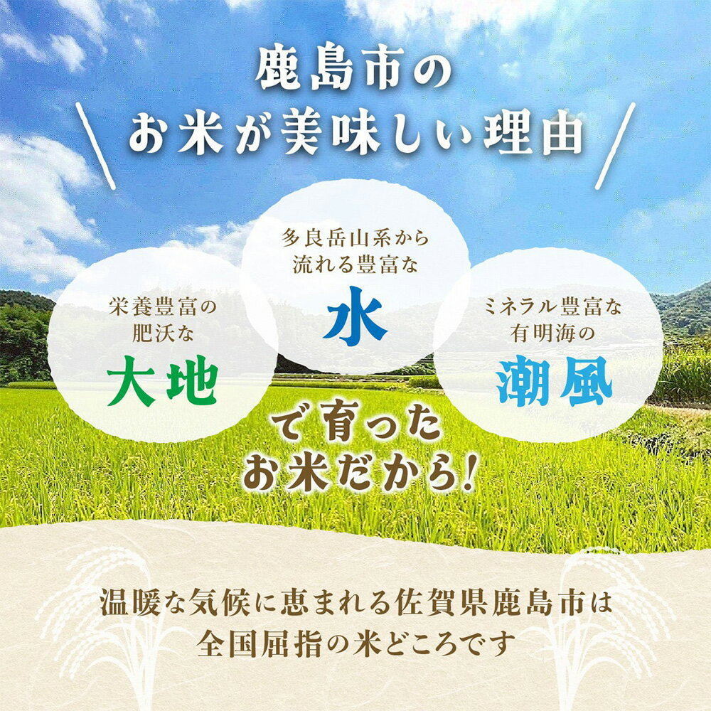 【ふるさと納税】配送回数と容量が選べる【定期便】お米 佐賀県産 さがびより 玄米 5kg 10kg 30kg 1回 3回 6回 計15kg ～ 60kg |ふるさと納税 米 定期 お米 玄米 新米 精米 国産 佐賀県 鹿島市 ふるさと 人気 送料無料 令和7年産