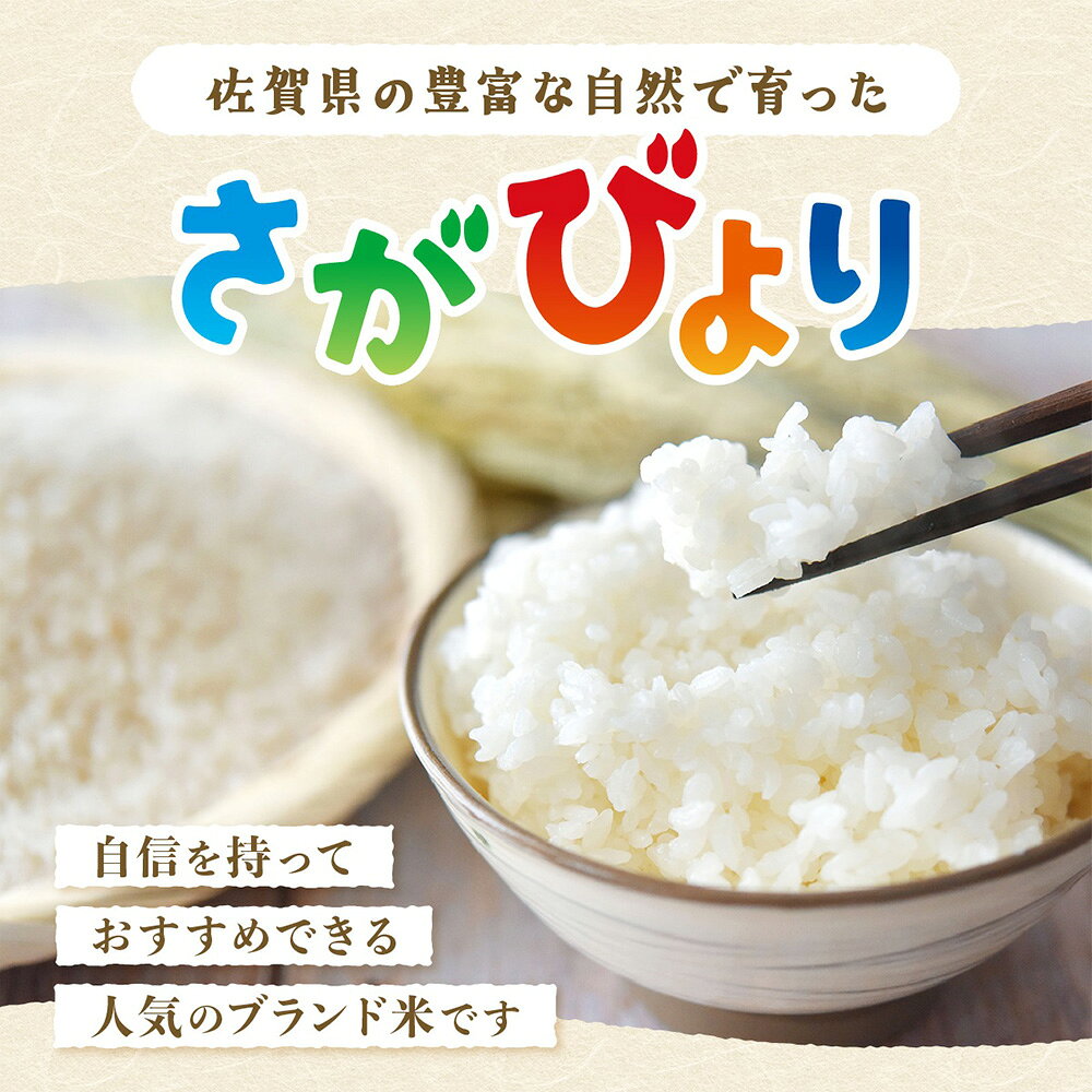 【ふるさと納税】お米 マイスター 厳選 食べ比べ さがびより 夢しずく 令和7年産 白米 5kg × 2種 計10kg | ふるさと納税 米 お米 新米 精米 国産 佐賀県 鹿島市 ふるさと 人気 送料無料 B-119 f412074-kashima-10000047 佐賀県鹿島市 サンプル画像3